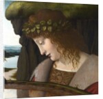 Narcissus by Anonymous