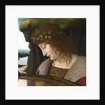 Narcissus by Anonymous