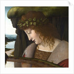 Narcissus by Anonymous