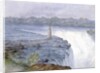 Grand Falls of the Niagara from the Observatory at Goat Island, July 22, 1846 by Michael Seymour