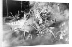 Atom Bomb Testing by Anonymous