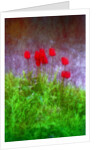 Red tulips by Anonymous