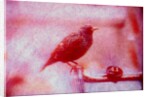 Bird on bicycle handlebar by Anonymous