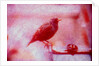 Bird on bicycle handlebar by Anonymous