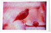 Bird on bicycle handlebar by Anonymous