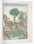 Woodcut illustration from Medieval book by Anonymous