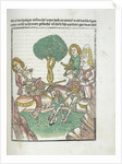 Woodcut illustration from Medieval book by Anonymous
