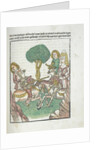 Woodcut illustration from Medieval book by Anonymous