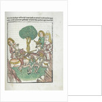 Woodcut illustration from Medieval book by Anonymous