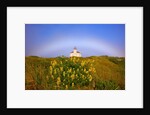 Morning light and fog make a fogbow over Coquille River Lighthouse, Bandon, Oregon Coast, Pacific Oc by Anonymous