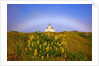 Morning light and fog make a fogbow over Coquille River Lighthouse, Bandon, Oregon Coast, Pacific Oc by Anonymous