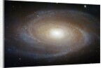 M81 Spiral Galaxy by Anonymous