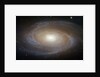 M81 Spiral Galaxy by Anonymous
