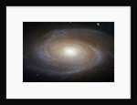 M81 Spiral Galaxy by Anonymous