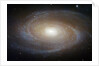 M81 Spiral Galaxy by Anonymous