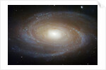 M81 Spiral Galaxy by Anonymous