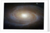 M81 Spiral Galaxy by Anonymous