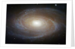 M81 Spiral Galaxy by Anonymous