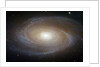 M81 Spiral Galaxy by Anonymous