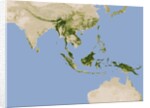 Carbon Stored in Tree Biomass in Tropical Asia by Anonymous