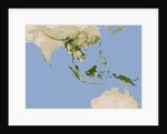 Carbon Stored in Tree Biomass in Tropical Asia by Anonymous