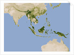 Carbon Stored in Tree Biomass in Tropical Asia by Anonymous