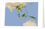 Carbon Stored in Tree Biomass in Tropical Asia by Anonymous