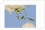 Carbon Stored in Tree Biomass in Tropical Asia by Anonymous