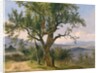 The Old Tree by Friedrich Gauermann