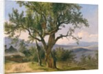 The Old Tree by Friedrich Gauermann