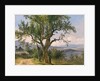 The Old Tree by Friedrich Gauermann