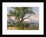 The Old Tree by Friedrich Gauermann
