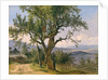 The Old Tree by Friedrich Gauermann