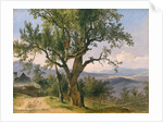 The Old Tree by Friedrich Gauermann