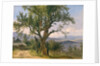 The Old Tree by Friedrich Gauermann