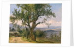The Old Tree by Friedrich Gauermann