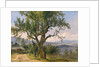 The Old Tree by Friedrich Gauermann