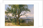 The Old Tree by Friedrich Gauermann