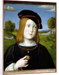 Federigo Gonzaga by Francesco Francia