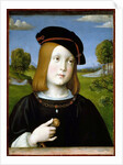 Federigo Gonzaga by Francesco Francia