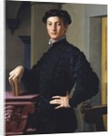 Portrait of a Young Man by Agnolo Bronzino