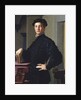 Portrait of a Young Man by Agnolo Bronzino