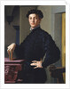 Portrait of a Young Man by Agnolo Bronzino