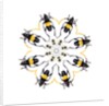Pachyteria sumatrana long horn beetle circular design by Anonymous