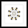 Pachyteria sumatrana long horn beetle circular design by Anonymous