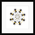 Pachyteria sumatrana long horn beetle circular design by Anonymous