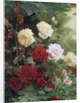 Roses by Gustave Bienvetu