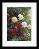 Roses by Gustave Bienvetu