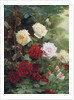Roses by Gustave Bienvetu