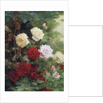 Roses by Gustave Bienvetu